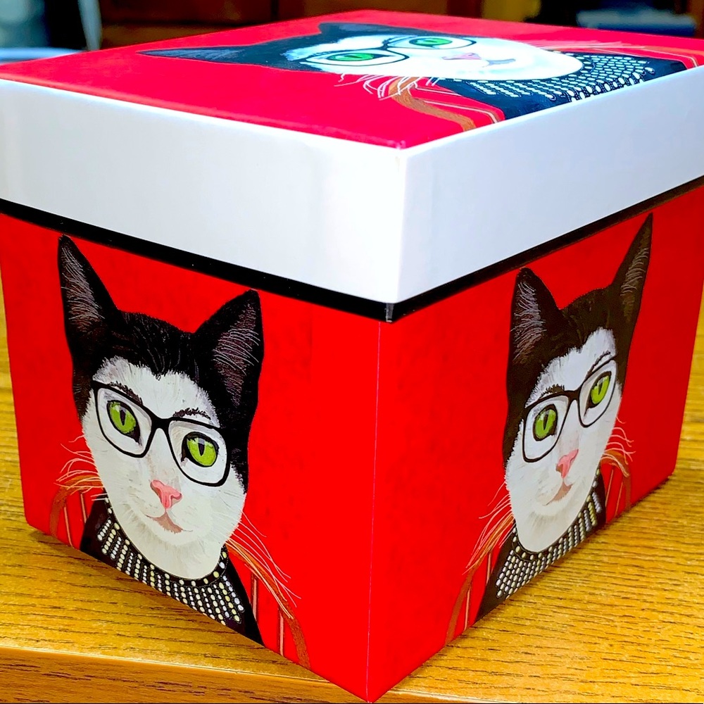 Ruth Bader Catsburg.  Novelty Box.